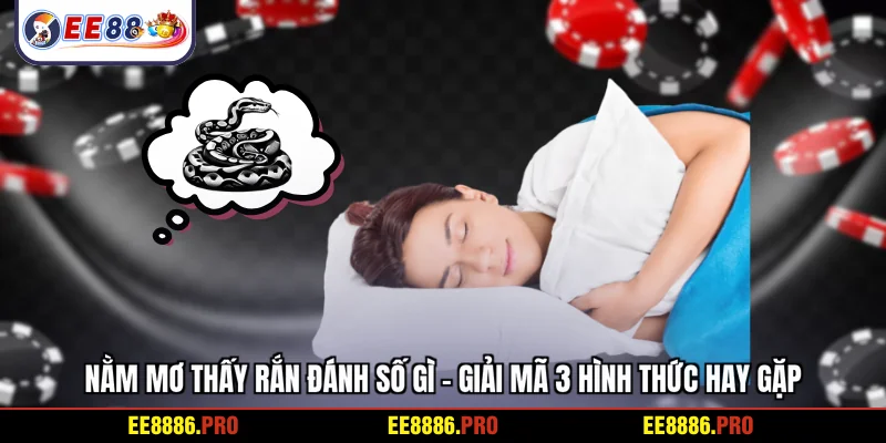 Nằm mơ thấy rắn đánh số gì - Giải mã 3 hình thức hay gặp